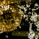 Image for article titled Bitcoin Surges 15% Overnight Because Nobody Learned Their Lesson After the Last Crash